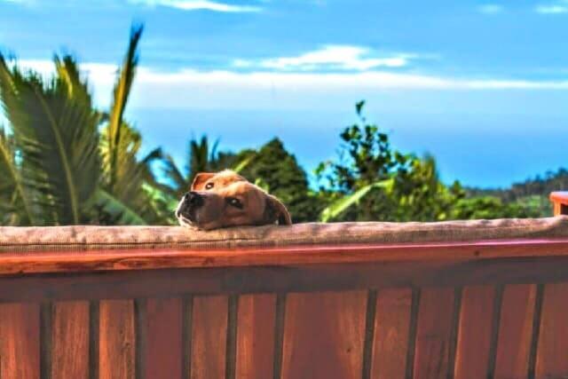 Camiguin Volcano Houses-Panoramic House Mambajao Extérieur photo